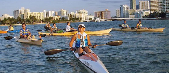 Kayak Tours