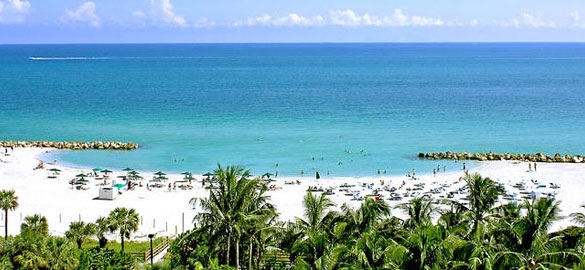 palms585 Palms Hotel & Spa Ready for Winter