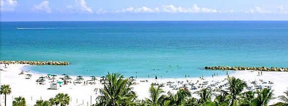 The Palms Hotel Oceanfront The Palms Hotel Oceanfront