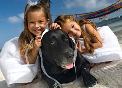 Pet-Friendly hotels in Miami Beach