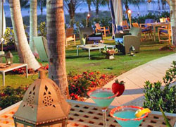 DiLido Beach Club DiLido Beach Club
